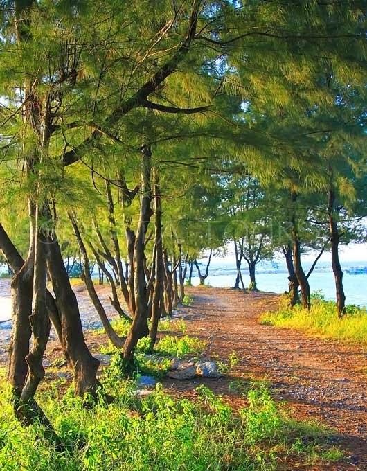 Pari Solata Seaview Homestay Syariah Kepulauan Seribu 외부 사진